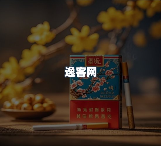 关于逸客网